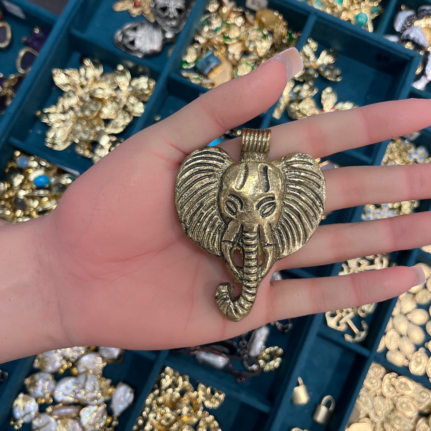 Animal Charm