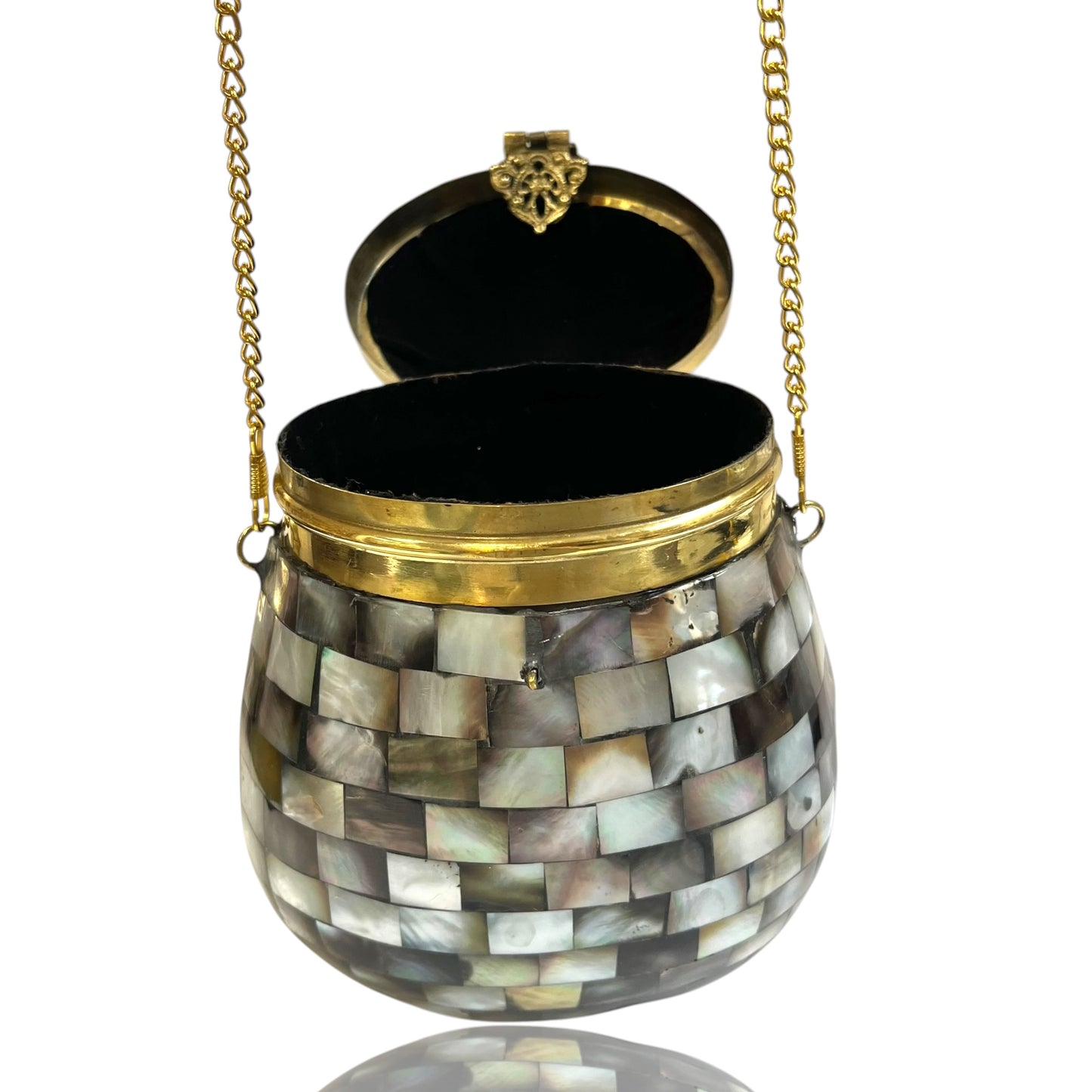 Mother of pearl Bag