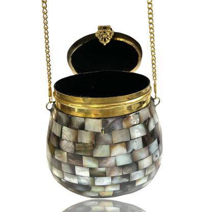 Mother of pearl Bag