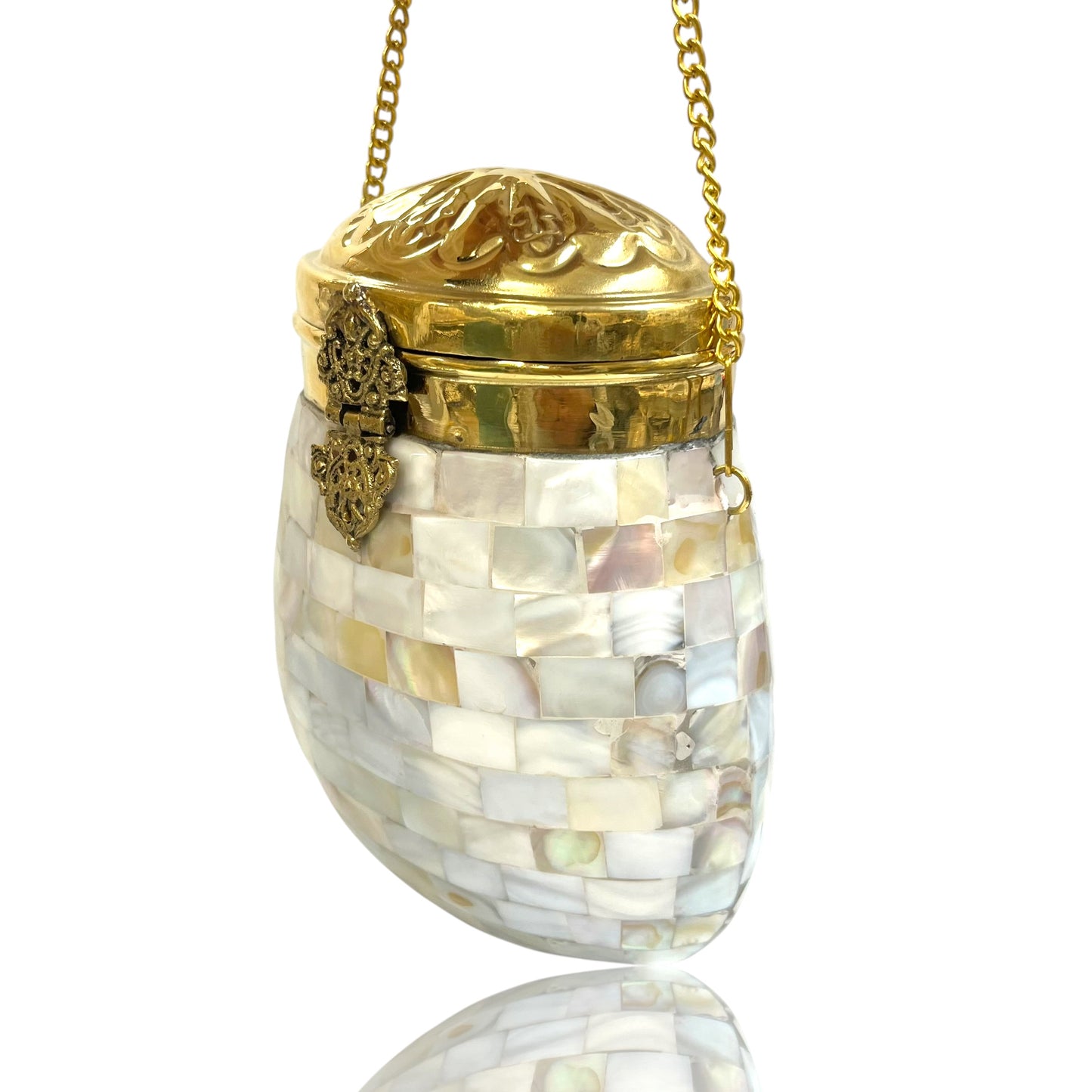 Mother of pearl Bag