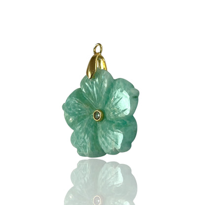 Aster Charm