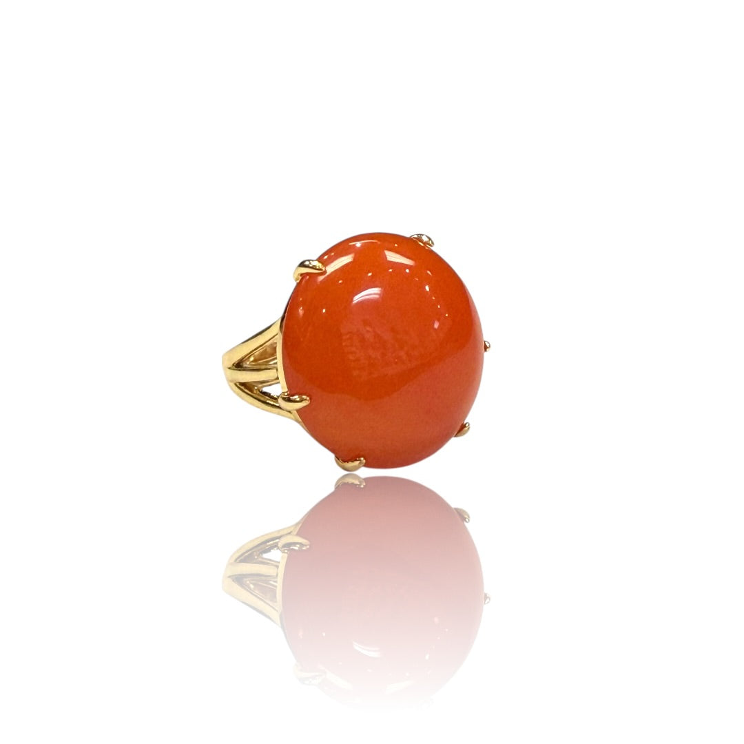 Color pop rings