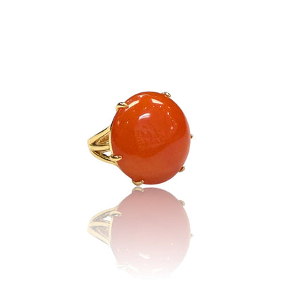 Color pop rings