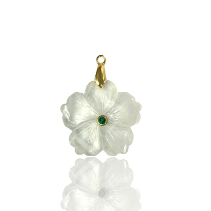 Aster Charm