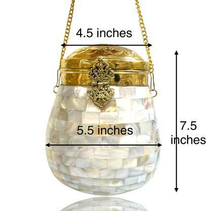 Mother of pearl Bag